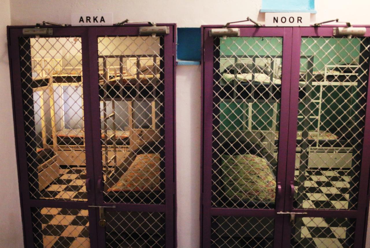 Gypsy Child Lake Hostel Udaipur Kültér fotó